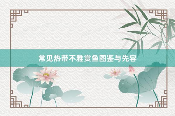 常见热带不雅赏鱼图鉴与先容