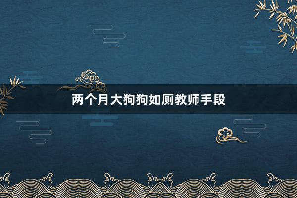 两个月大狗狗如厕教师手段